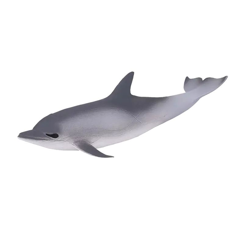 COMMON DOLPHIN plastic animal sea toy figure model figurine fish bath toy 2