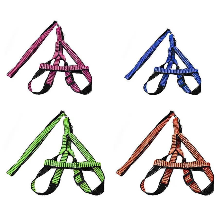 Pet Dog Leash with Harkness Assorted Colours 5034 (Large Letter Rate)
