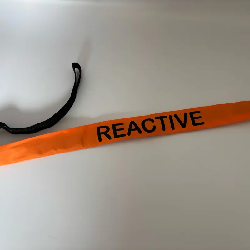 Dog Lead Sleeve - Warning Alert Wrap - Lead Cover - for Pet Safety 6
