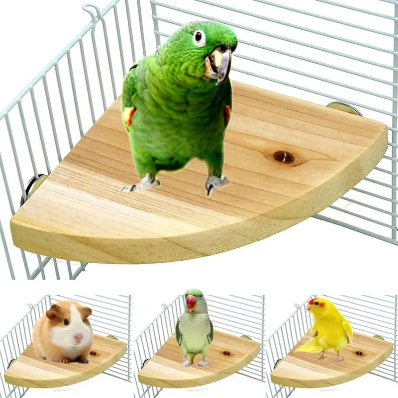 Parrot Bird Wood Perch Stand Platform Rectangle Fan-shaped Shelf Stand Board For Budgie Parakeet Cockatiel Hamster Gerbil Rat 1