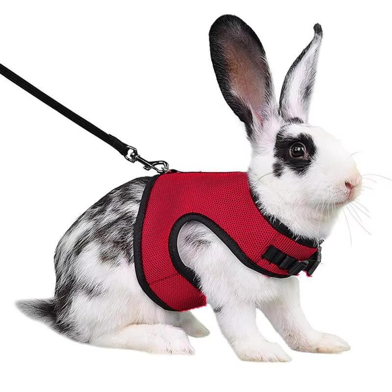 Multi-Color Breathable Vest Harness Set – Adjustable Soft Harness & Elastic Leash for Small Pets, Rabbits & Dogs 3