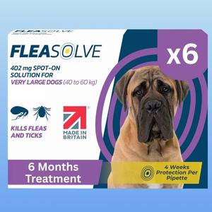 Dog Flea Treatment x6 Pipette - Very Large Dog 40kg-60kg - Spot On Application