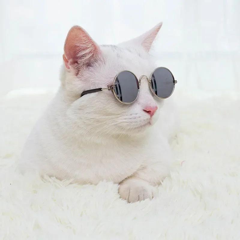 Cat Sunglasses Summer Outdoor Puppy UV Protection Sunglasses Dolls Sun Glasses Small Dog Cosplay Photo Props Cute Pet Sunglasses 2