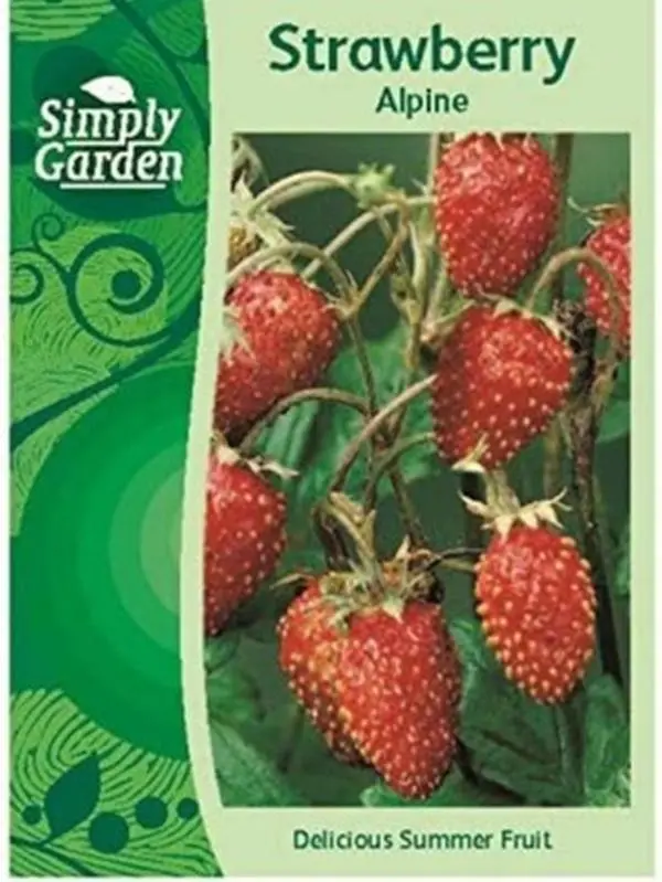 Strawberry Alpine Fresh Fruit Seeds Grow Your Own Garden