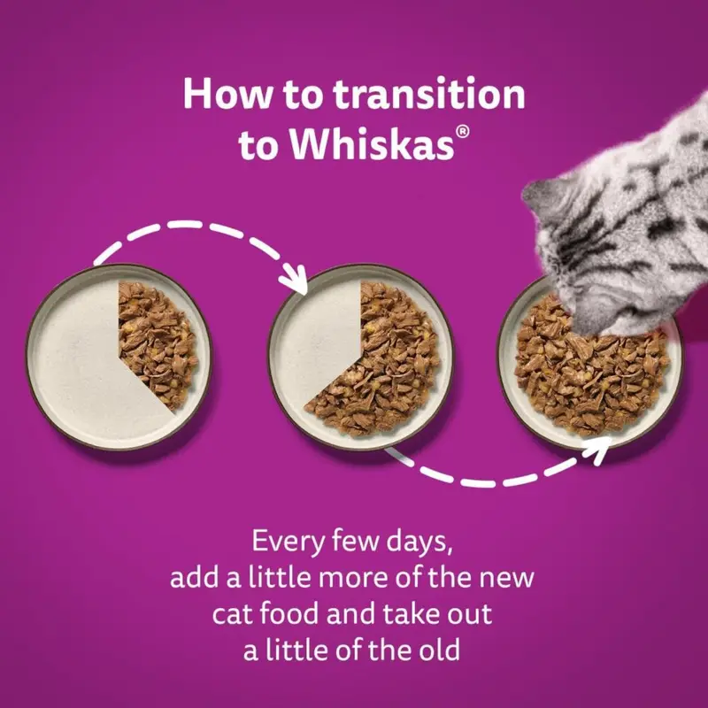 WHISKAS - 1+ Adult Wet Cat Food Pouches - 40 x 85 g - Poultry Selection - Bulk Cat Food Megapack - 40 Jelly Pouches 6