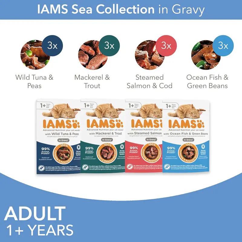 Delights Complete Wet Cat Food for Adult 1+ Cats Fish Variety in Gravy Multipack 12 x 85 g Pouches 2