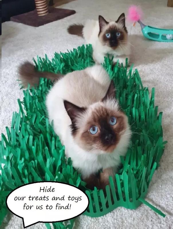 Green Interactive Kitten Indoor Pet Toys - Cat Toy Tissue Paper Grass Mats 3