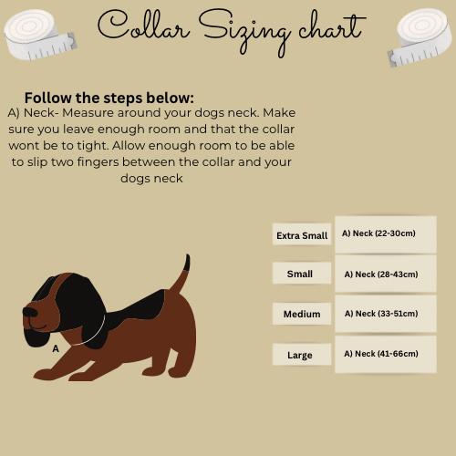 Product Introduction of Barking Wild Bundle 4