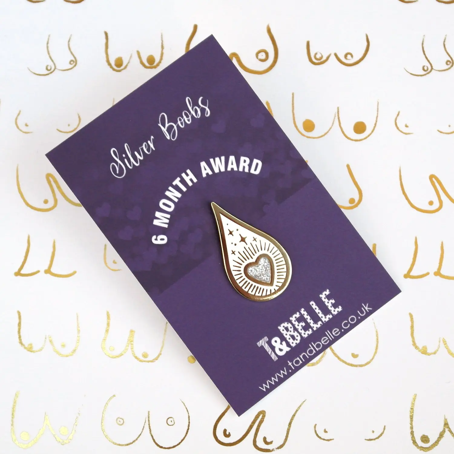 Drops of Magic Silver 6 Month Breastfeeding Expressing Milestone Award Enamel Pin