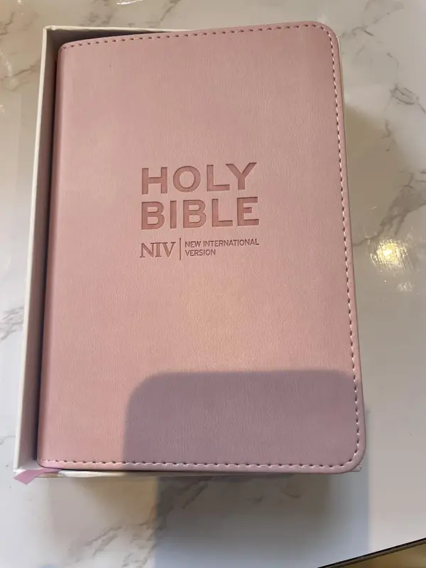 Holy Bible: New International Version (Pink Soft-tone Bible) (Pastel Pink Soft-tone) Paperback – 26 April 2012 1