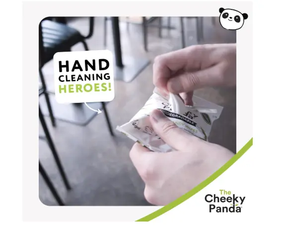 The Cheeky Panda  Bamboo Hand Wipes | 12 Travel Wipes | 100% Plastic Free and Biodegradable Wet Wipes 1
