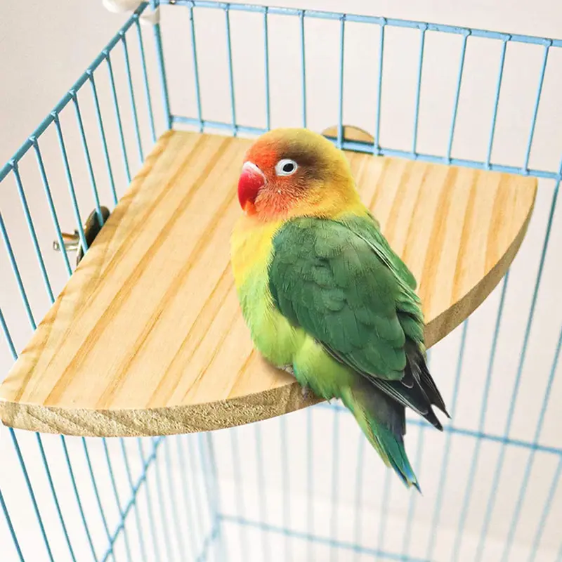 Parrot Bird Wood Perch Stand Platform Rectangle Fan-shaped Shelf Stand Board For Budgie Parakeet Cockatiel Hamster Gerbil Rat 2