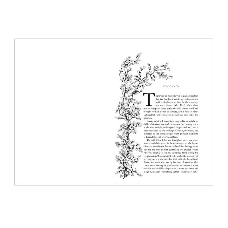 Charlotte Brontë - Jane Eyre 2