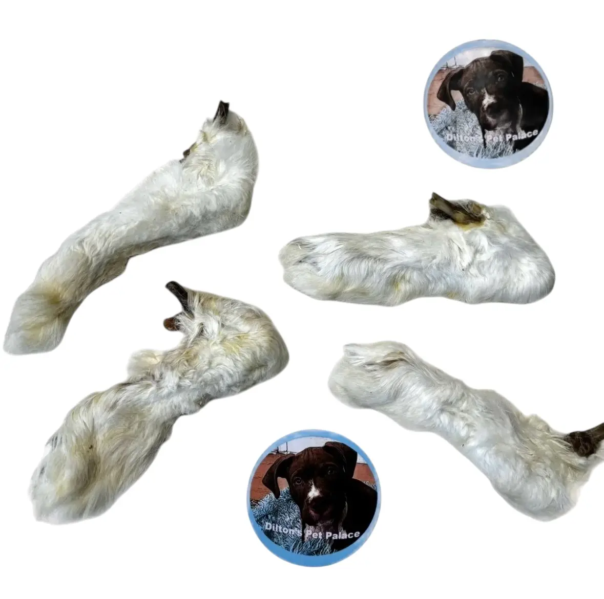 Hairy Rabbit Feet - Natural Dog Treat for Healthy Teeth and Gums