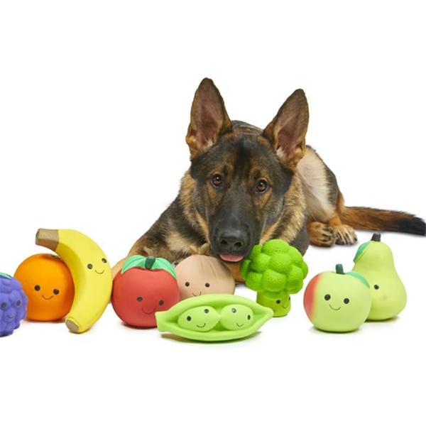Product Introduction of Latex Broccoli Soft Chew Dog Toy, Large 3 Designs available Dog Playing toys toys  for  dogs 0