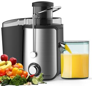 NaturoPure 600W Juicer for Fruits and Vegetables and BPA-Free