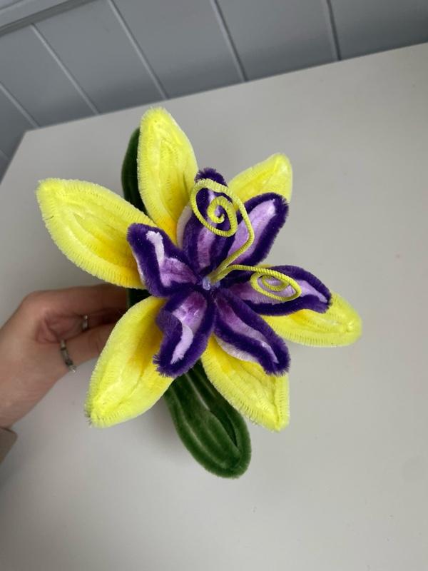 Product Introduction of RAPUNZEL FLOWER 4