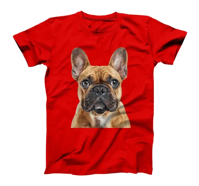 French Bulldog T-Shirt - Sweatshirt - Hoodie 6RI 1