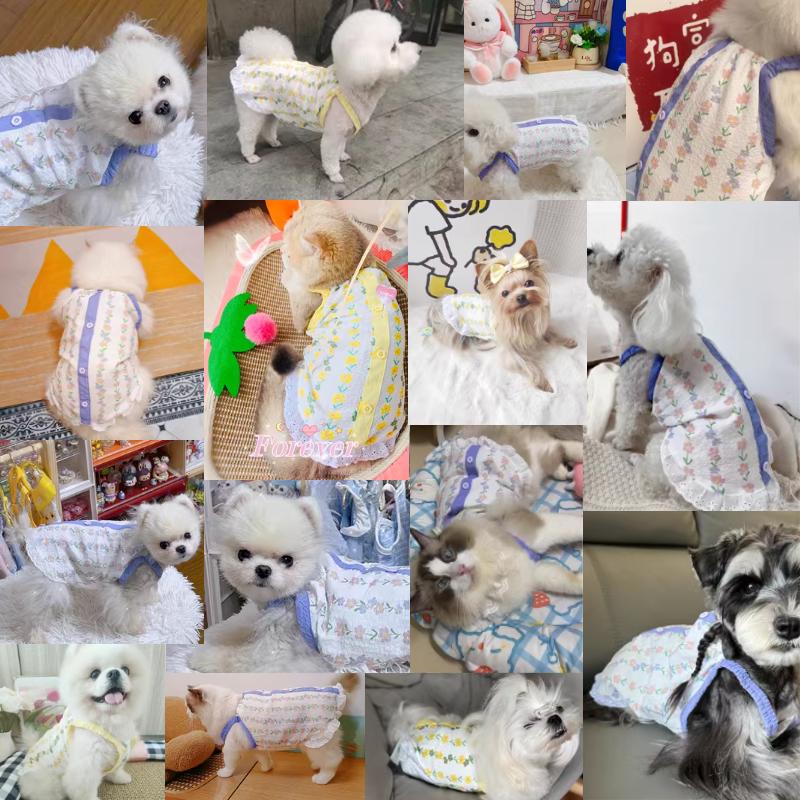 【LOLOVELO】Puppy Suspenders Summer Cooling Vest for Dogs Dog Costume Cute Girls Dog Clothes Bichon Chihuahua Clothing Pet Outfit Dog Vests 1