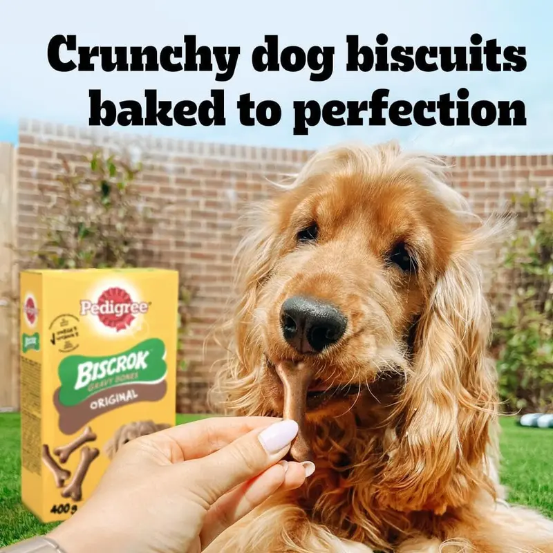 Pedigree Biscrok Original 10 kg Snacks, Dog Treats Gravy Bones Biscuits Dog Treats, Megapack 7