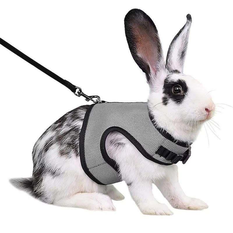 Multi-Color Breathable Vest Harness Set – Adjustable Soft Harness & Elastic Leash for Small Pets, Rabbits & Dogs 5