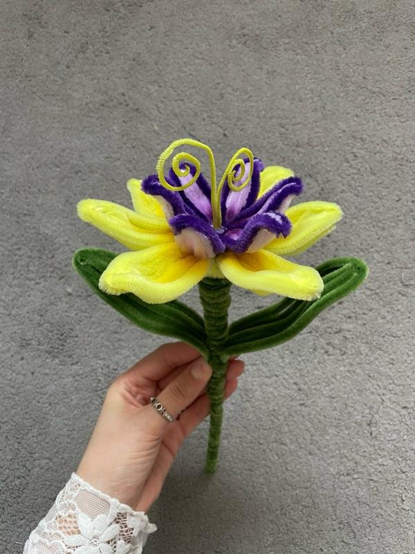 Product Introduction of RAPUNZEL FLOWER 2