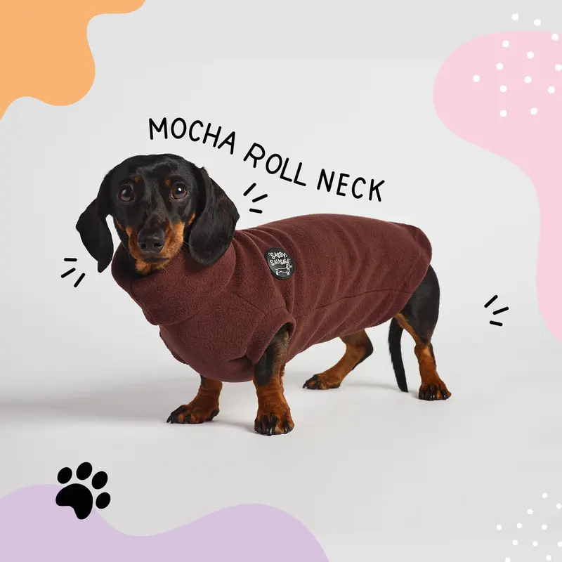 Dachshund Essentials Rollneck Jumper - Dachshund Jumper - Sausage Dog Rollneck Jumper 1