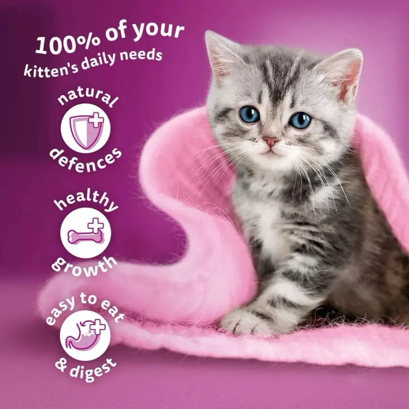 144 x 85g Whiskas Kitten Mixed Menu Wet Cat Food Pouches in Jelly 6
