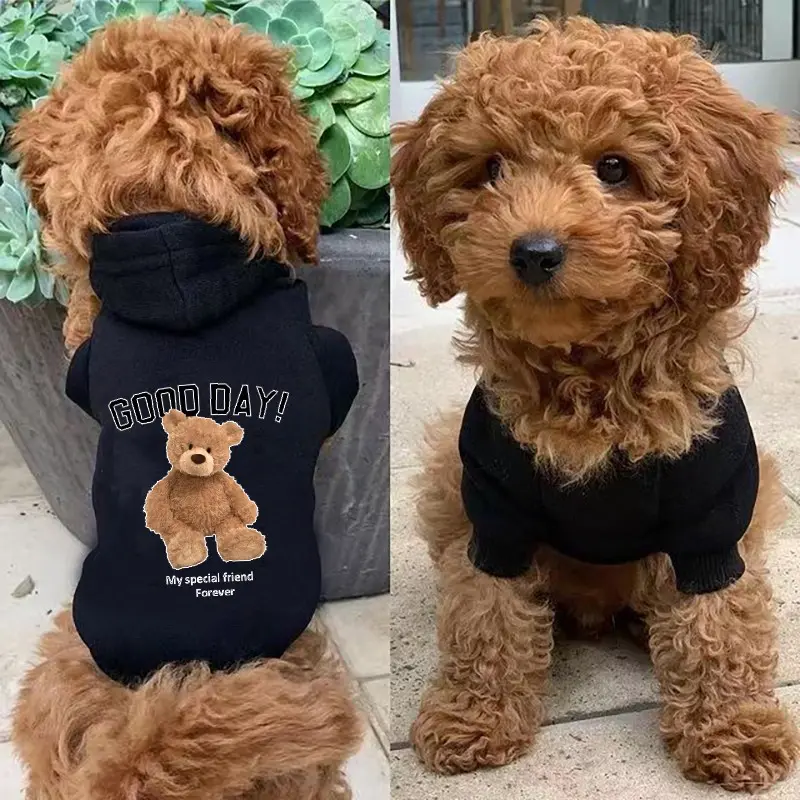 Winter Fleece Warm Pet Dog Clothes Cute Cartoon Bear Dog Hoodie For Small Dogs Pullovers Puppy Costumes Chihuahua Hug Ropa Perro 4