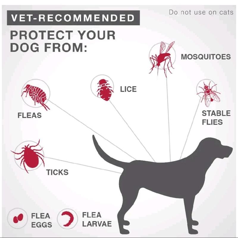 Advantix Spot On Flea Treatment for Large Dogs 21 - 55 lbs , 6 Months Doses - Best Formulation 3