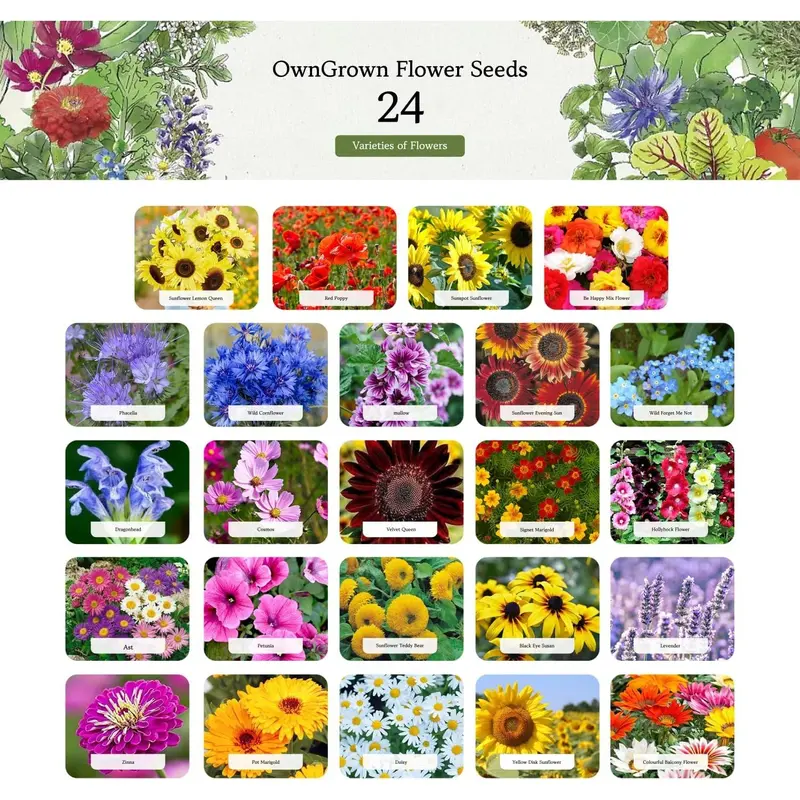 Flower Seeds Advent Calendar for 2024-24 Varieties of Wild Flower Plant Seeds DIY Kit - Garden Gift Decorations - Housewarming Gardening Gifts for Men and Women - Wildflower Organic Seeds 1