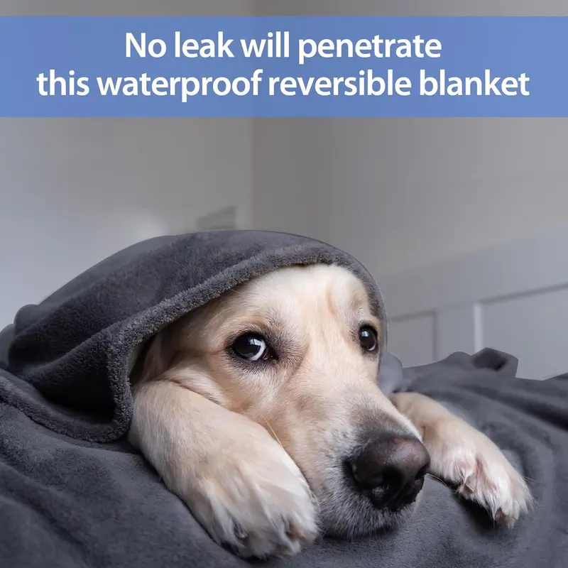Premium Waterproof Blanket | Ultra-Soft, Leak-Proof & Machine Washable | Ideal for Couples, Pets & Home Protection ( 152 * 203cm) 6