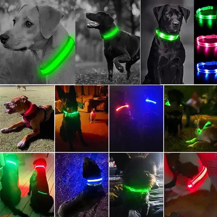 USB Rechargeable LED Dog Collar – Light-Up Safety Night Collar for Pets, Flashing Modes, Green (Medium) 1