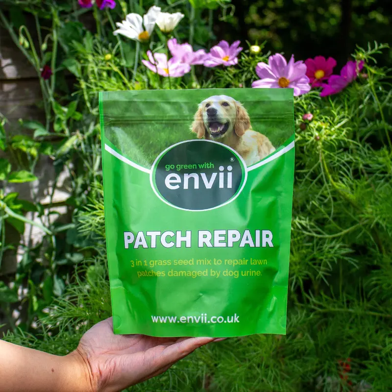 Patch Repair 1