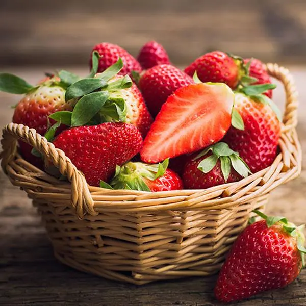 20 x Everbearer Strawberry 'Sweet Summer' Grow Your Own Strawberries Ready to Plant Out Fruit Bushes in Your Garden This Summer
