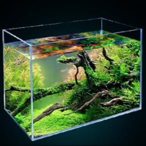 Product Introduction of 7 Litre Rimless Low Iron Glass Aquarium Tank (7.8" L × 7.8" W × 7.8" H / 20cm x 20cm x 20cm), Thickness Standard Jointed 12