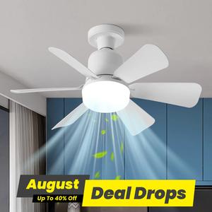 30W LED Ceiling Fan Light, Remote Control LED Ceiling Lights, Silent Ceiling Fanlights with Timer Memory Function, for Bedroom, Restaurant, Garage, Kitchen, Home Decor Lighting