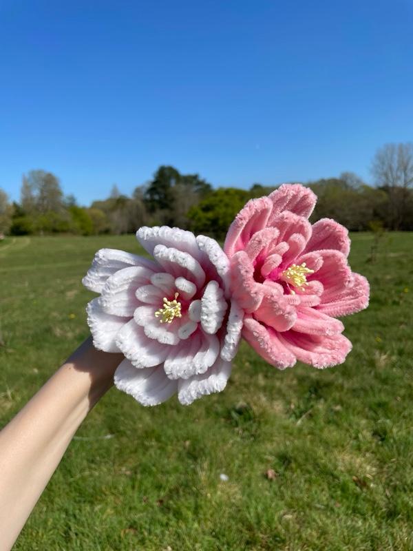 Product Introduction of PEONY BOUQUET 9