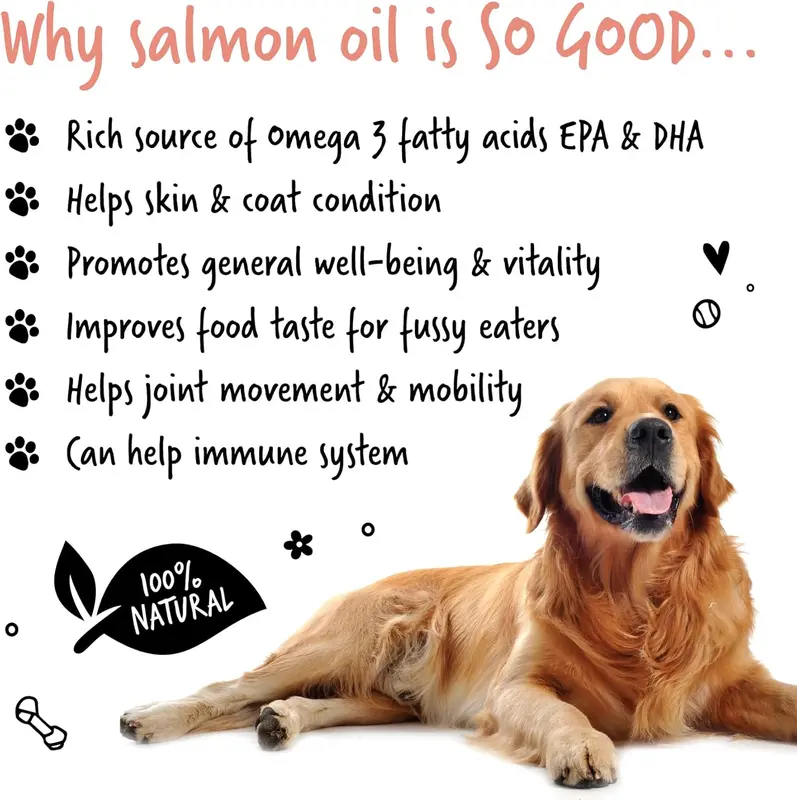 Bugalugs Scottish Salmon Oil For Dogs & Cats, Dog Supplement Support for Skin And Coat, Itchy Skin & Moulting, Omega 3 Fish Oil (Salmon, 500ml) 4