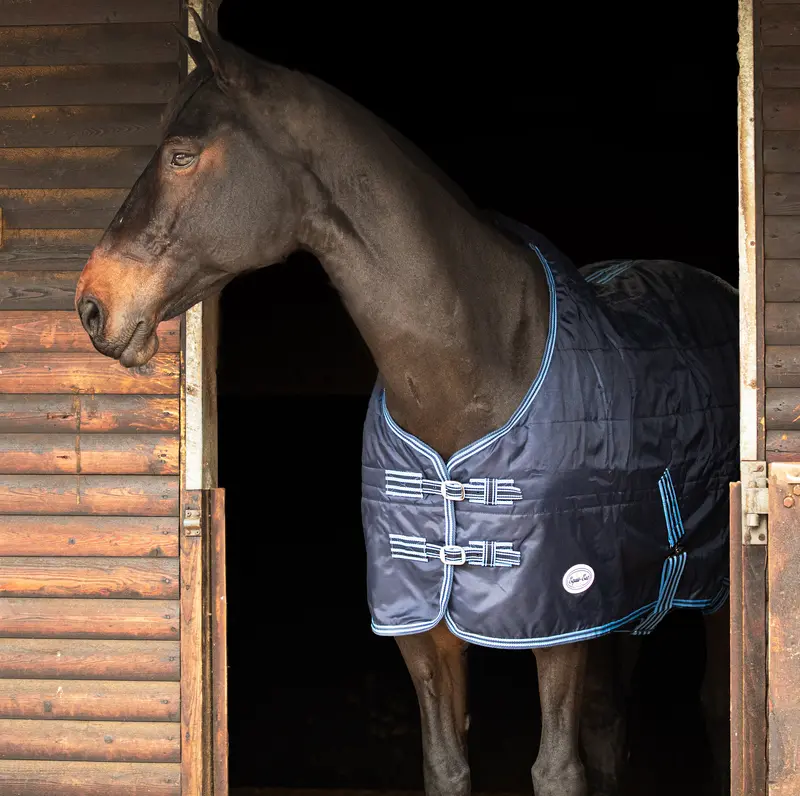 Zambezi 100g Standard Neck Stable Rug 4