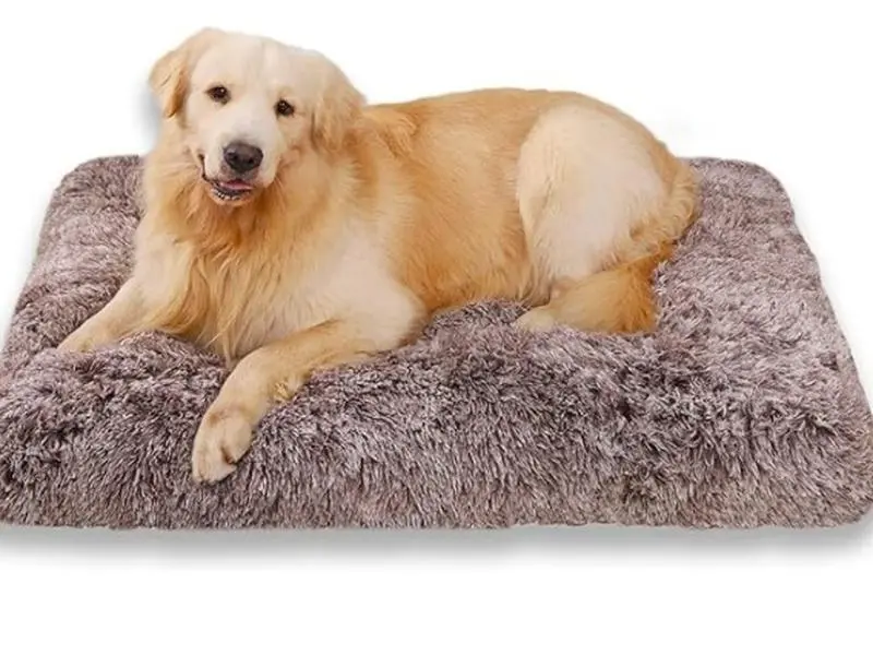 Small Dog Bed Washable Dog Crate Mattress Calming Fluffy Anti Anxiety Dog Beds Deluxe Plush Dog Mat with Anti-Slip Bottom, Brown,60x45x6cm 0