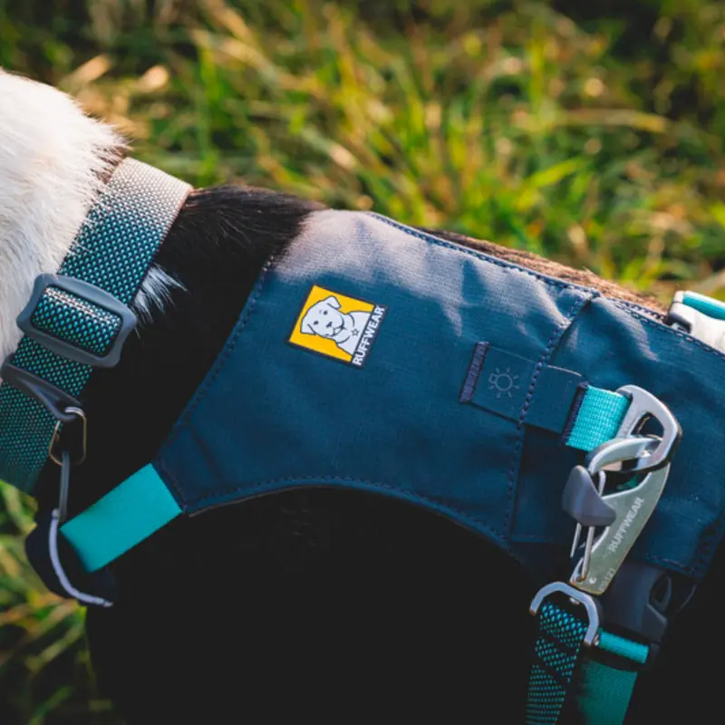 Ruffwear Hi & Light Harness 6