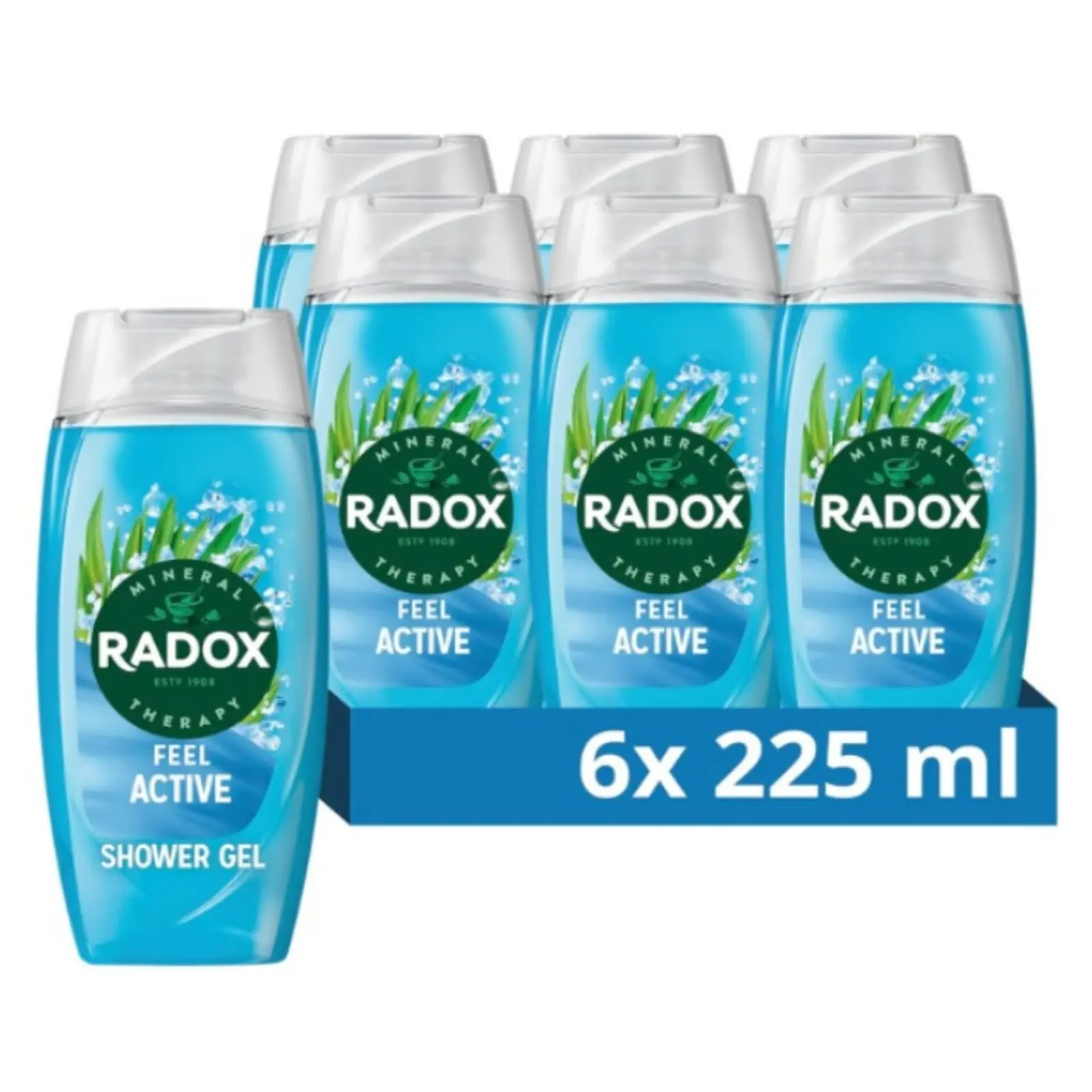 Radox Mineral Therapy Feel Active Shower Gel with Sea Salt & Lemongrass Scent - 225ml (Pack of 6), Skin Nourishing Formula - Comfort, Body Care