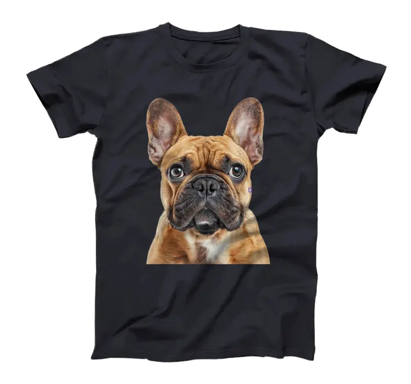 French Bulldog T-Shirt - Sweatshirt - Hoodie 6RI 3