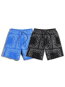 Men's Regular Fit Paisley Print Drawstring Waist Shorts, Casual Pocket Track Shorts, Men's Bottoms for Summer