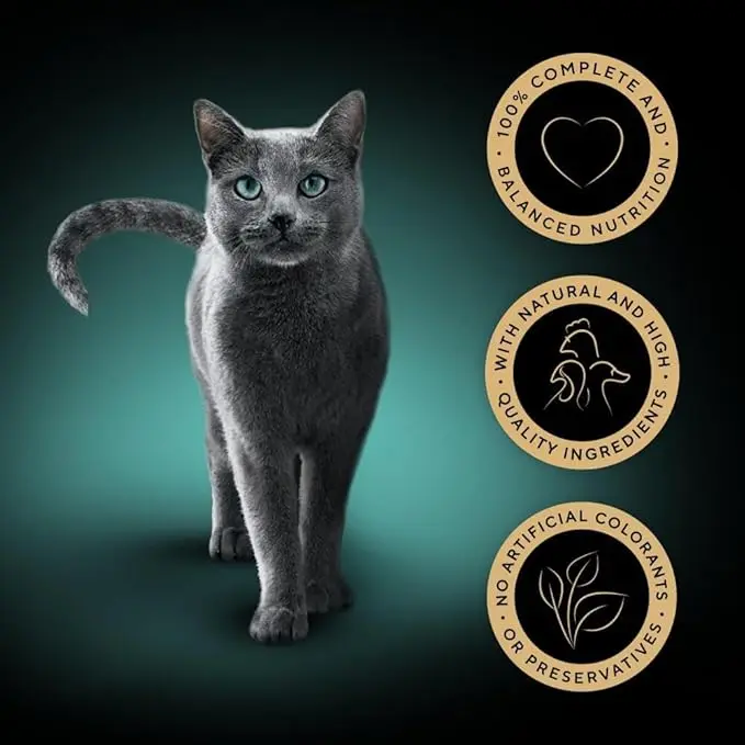 Adult Wet Cat Food Pouches- 40 x 85 g - Poultry - Bulk Cat Food Megapack - 40 Jelly Pouches 6