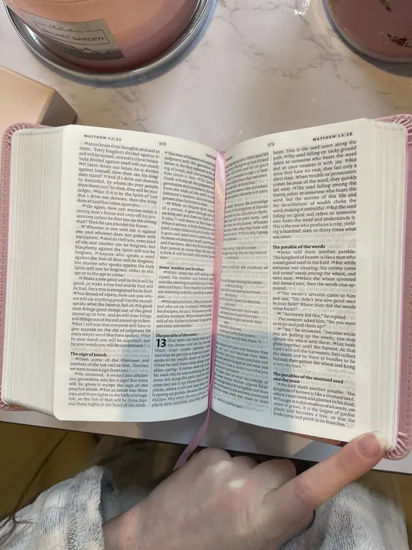 Holy Bible: New International Version (Pink Soft-tone Bible) (Pastel Pink Soft-tone) Paperback – 26 April 2012 2