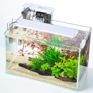 Product Introduction of 7 Litre Rimless Low Iron Glass Aquarium Tank (7.8" L × 7.8" W × 7.8" H / 20cm x 20cm x 20cm), Thickness Standard Jointed 1