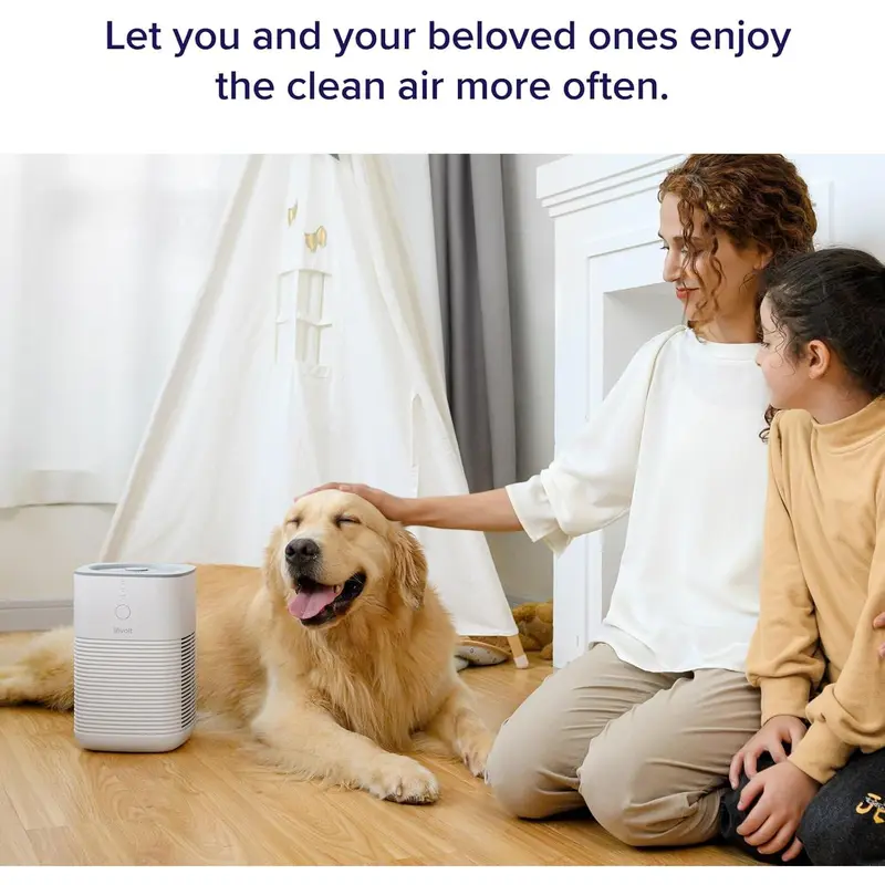 2025NEW-LEVOIT Air Purifier for Home Bedroom, Dual HEPA Filters with Aromatherapy Diffuser, Quiet Sleep Mode, Air Cleaner for Smoke, Allergies, Pet Dander, 100% Ozone Free, Air Frenshener, LV-H128, Gray 7