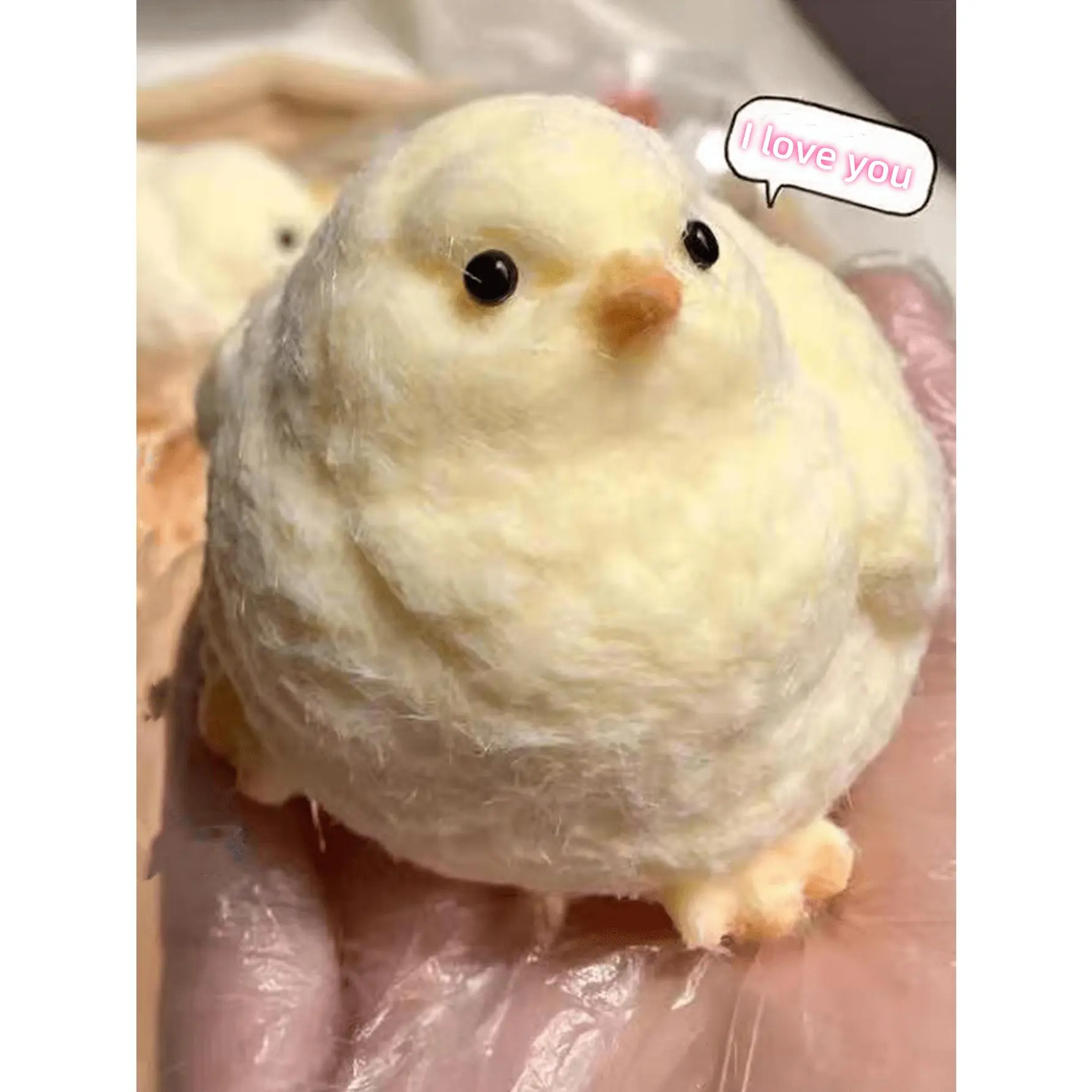 New Stress Relief Squeeze Toy, Cute TPR Chick Squishy Toy, Soft Plush Chick Squeeze Novelty Gift, Toys, Taba Squishy, Squishy, Taba Squishy Big, Squishys,Squishi,Squishiest,Anxiety